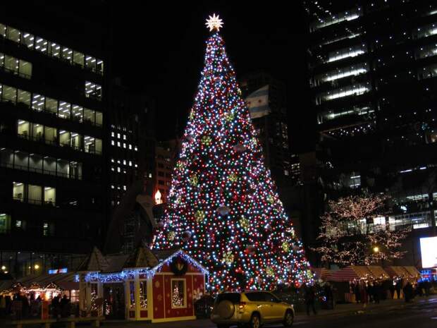 Chicago Christmas Tree.jpg