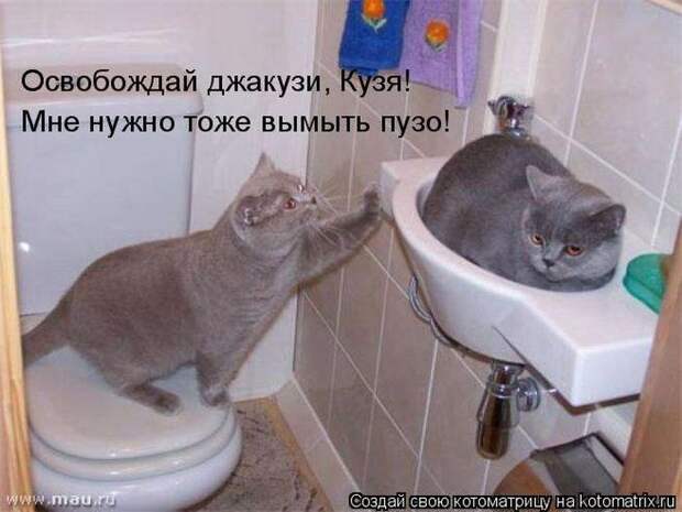 Мысли вслух :)