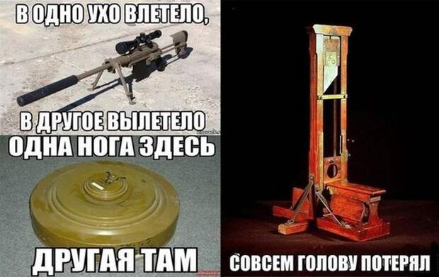 Смешные картинки с подписями катинки, прикол, юмор