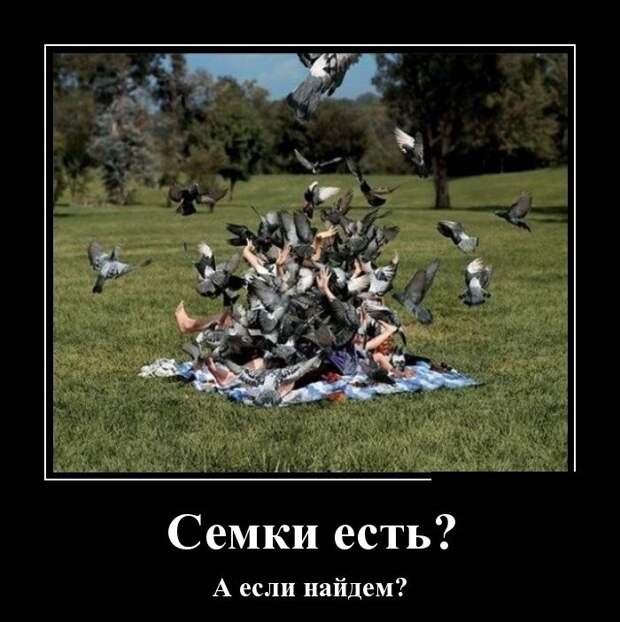 Демотиваторы (30 фото)
