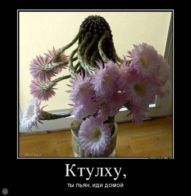 Счастливо жить не запретишь! 27