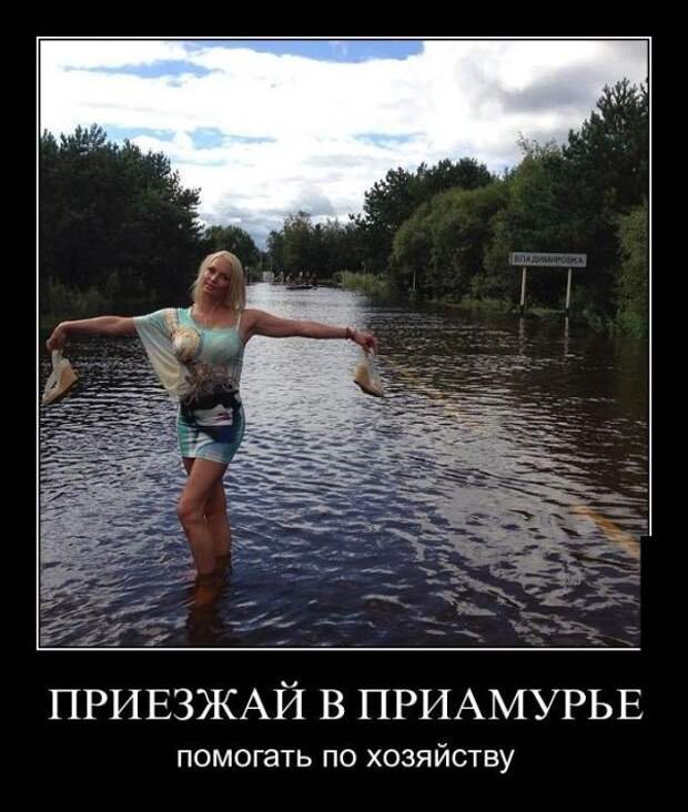 Прикольные демотиваторы Прикольные демотиваторы
