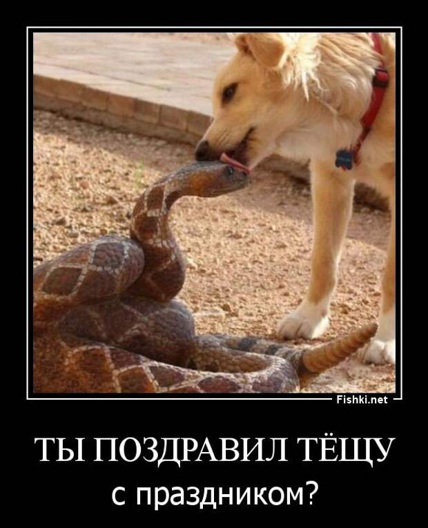 Демотиваторы демотиваторы, прикол, смех, юмор