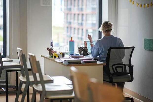 В Госдуме предложили разрешить учителям работать удаленно на каникулах