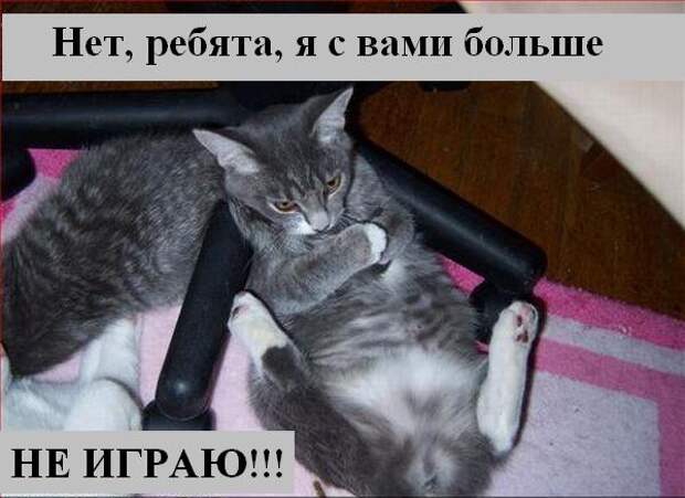 Мысли :) (50мыслей)