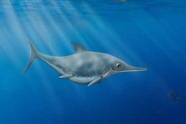 Древнюю морскую рептилию признали новым видом ихтиозавров