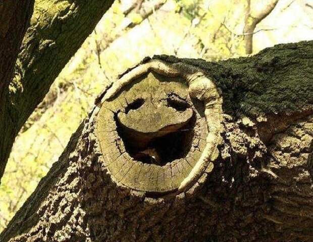 Эти глаза напротив ...