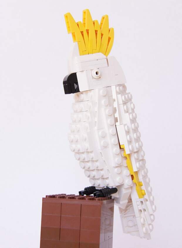 том пулсом скульптуры птиц из конструктора LEGO (14)
