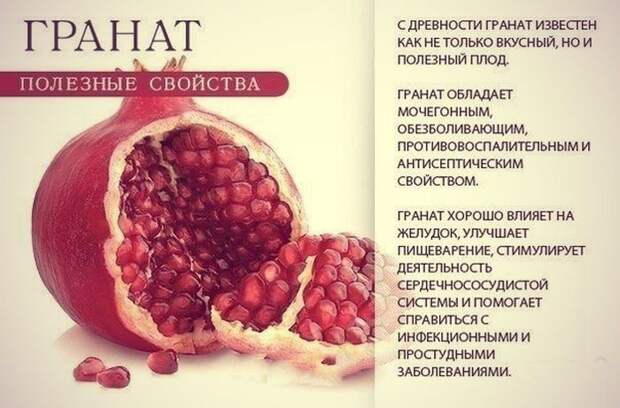9 самых полезных продуктов для всего организма