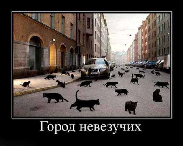 Демотиваторы забавные, новые и только прикольные для вас!