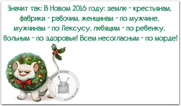 Немного новогодней «Правды жизни» (30 картинок)