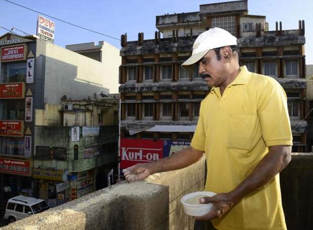 India Birdman