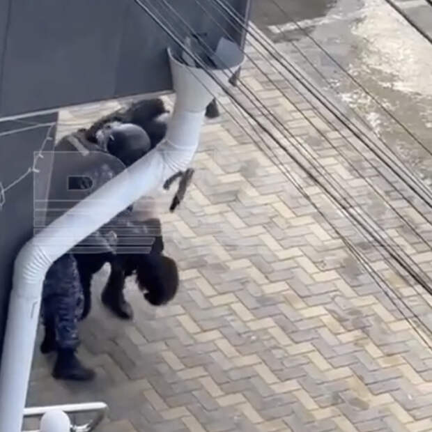 Один человек стал жертвой стрельбы в российском техникуме