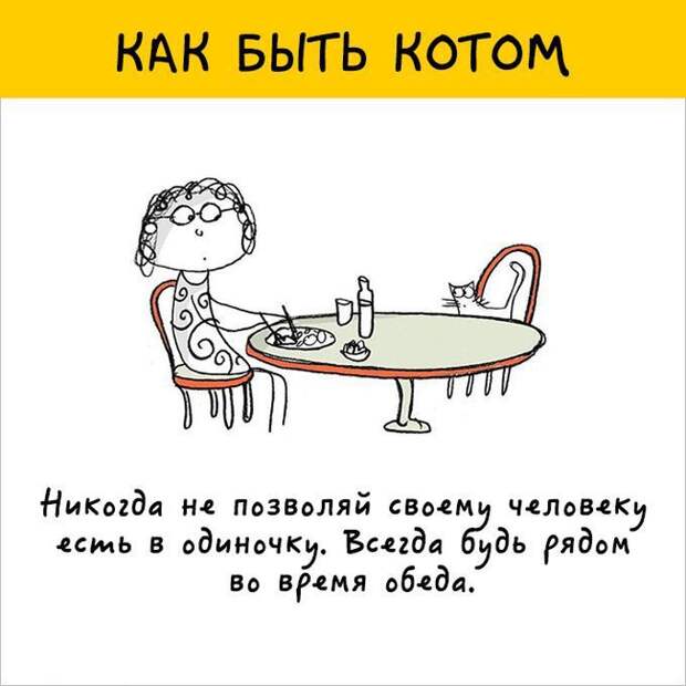12 картинок с инструкциями о том, как быть котом инструкция, кот, юмор