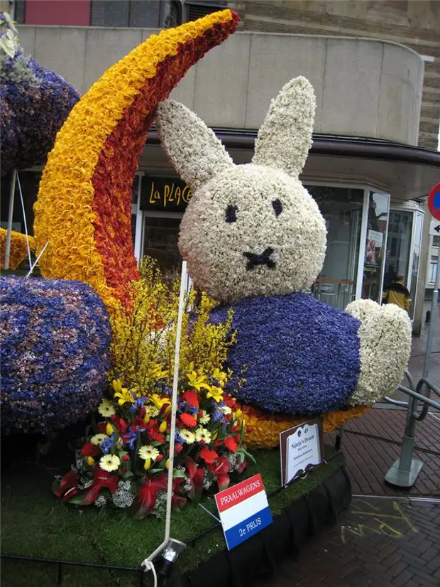 Цветочный фестиваль Bloemencorso в Нидерландах