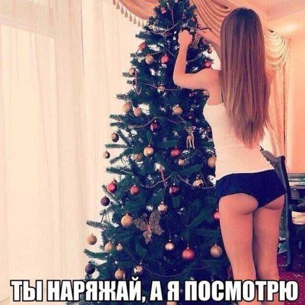 Смешная галерея фотоприколов  # 62