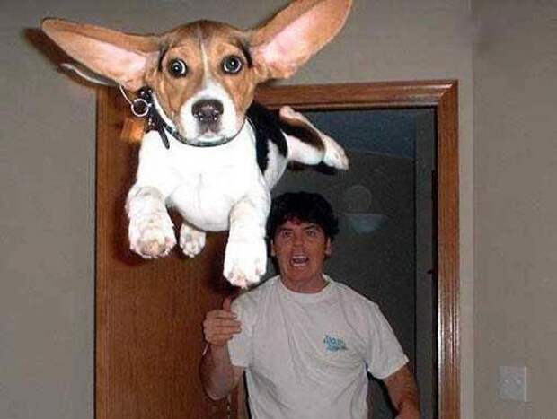 необъяснимые и странные фотографии из сети (8)