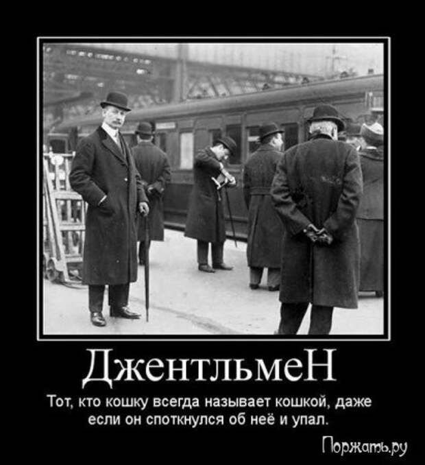 Демотиваторы (21 фото)