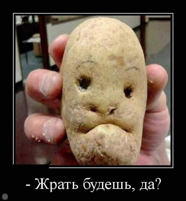Ещё чуть-чуть демотиваторов 23