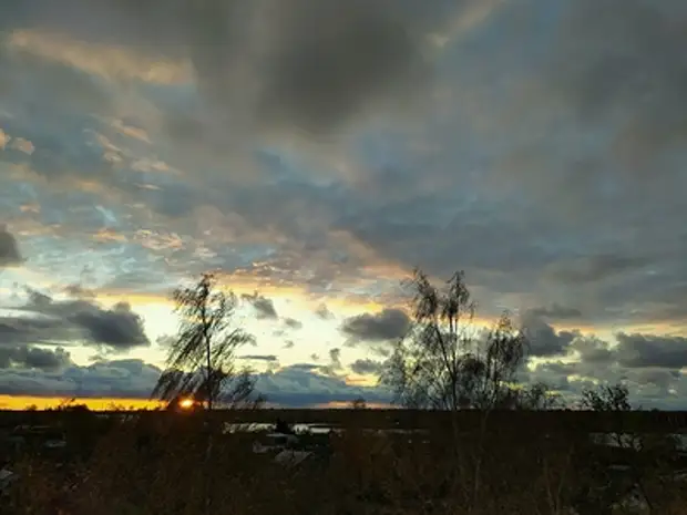 В Новосибирск придёт похолодание после жары до +25 градусов