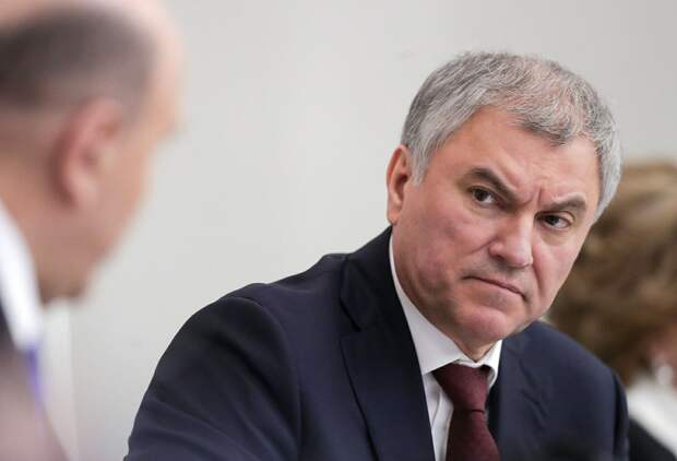 Общественник Сергей Креков призвал Володина отстранить главу комитета Госдумы