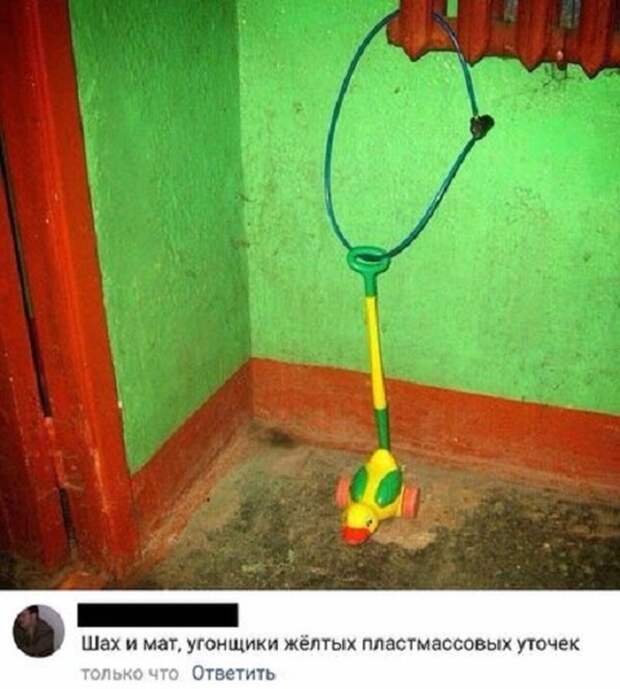 Вызывающие улыбку перлы из социальных сетей Вызывающие улыбку перлы из социальных сетей