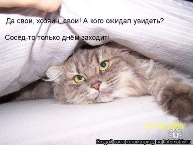 Свежая прикольная котоматрица (34 фото)