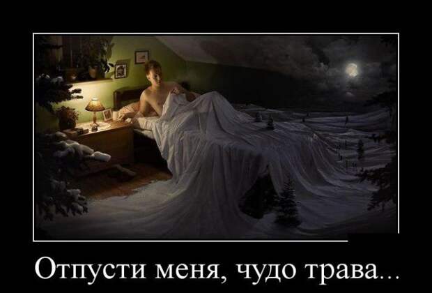 Демотиваторы (30 фото)