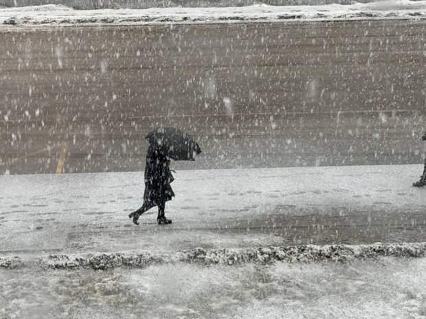 Синоптик Колесов: в Петербурге выпадет снег и поднимется сильный ветер до 20 м/с