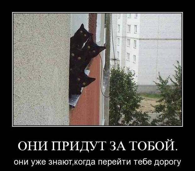 Демотиваторы (30 фото)
