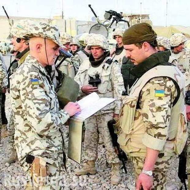 Украинская армия в Ираке или об истинной природе украинского лыцарства, — из записок украинского «миротворца» | Русская весна