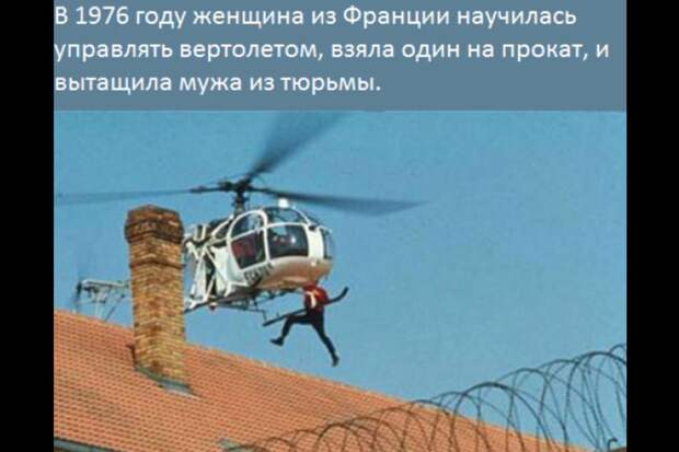 Интересные факты из жизни, которые возможно вас удивят! интересно, факты