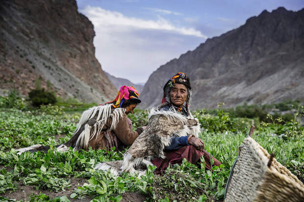 Женщины выращивают овощи на продажу на севере Индии