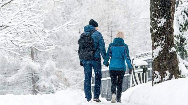 Прогноз погоды: морозы и метель накроют Москву и Подмосковье