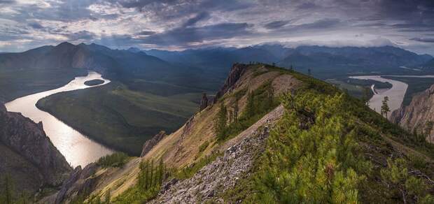 Большая петля