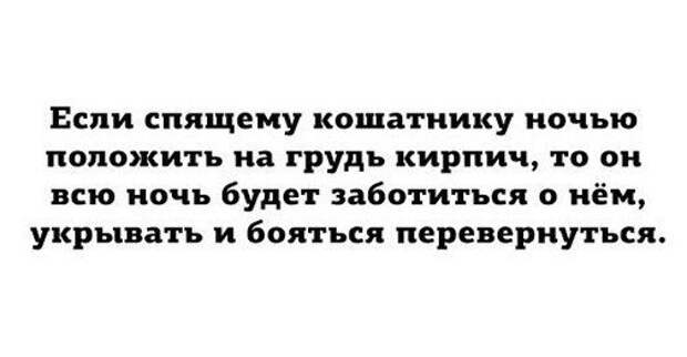 Блестящие цитаты