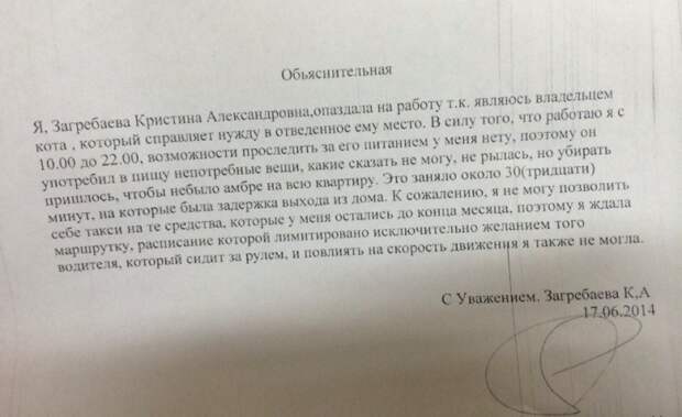 Вот как правильно писать объяснительные Вот как правильно писать объяснительные объяснительные, смешно