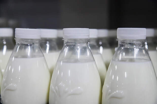 В Новосибирске утилизировали более 5 тонн молочных продуктов в 2025 году