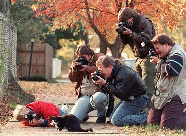 55 отчаянных фотографов, готовых на все ради удачного кадра 55 отчаянных фотографов, готовых на все ради удачного кадра отчаянный, снимок, фотограф