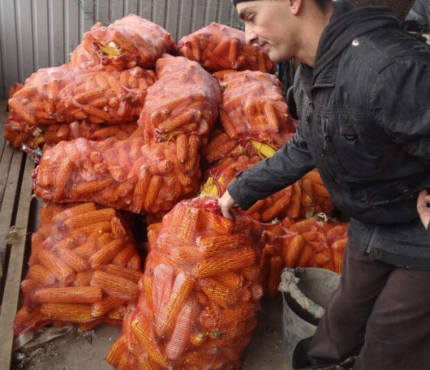 жизнь сильного человека