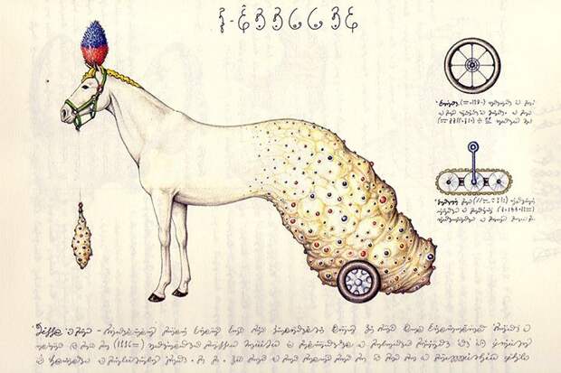 истории, факты