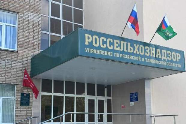 Под Тамбовом фермеру выдали предостережение за нарушения при перевозке лошадей