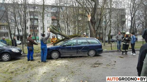 В Бресте кирпичная стена упала на припаркованные автомобили Брест, авто, беларусь, ветер, ураган
