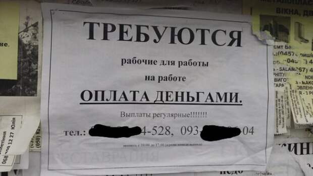 смешные и шокирующие фотографии 