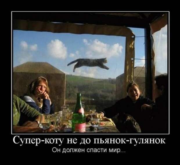 Смешные фразы в демотиваторах высший класс.