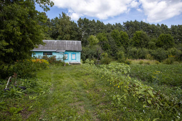 Почему зумеры скупают старые дачи: экономист объяснила новый тренд