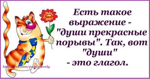 Приколюшки с картинками