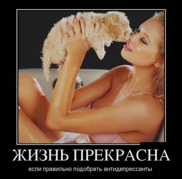 Демотиваторы. Подборка chert-poberi-chert-poberi-58490425032020-10 картинка chert-poberi-58490425032020-10
