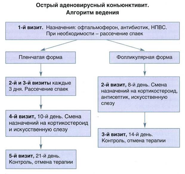 Схема лечения конъюнктивита у детей