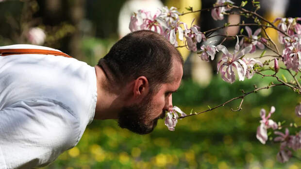 Онищенко: проблемы части жителей Москвы со здоровьем вызваны аллергией или ОРВИ